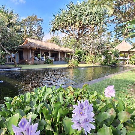 Bali Beach Eco Villas Pondok Matekap Selemadeg  Ngoại thất bức ảnh