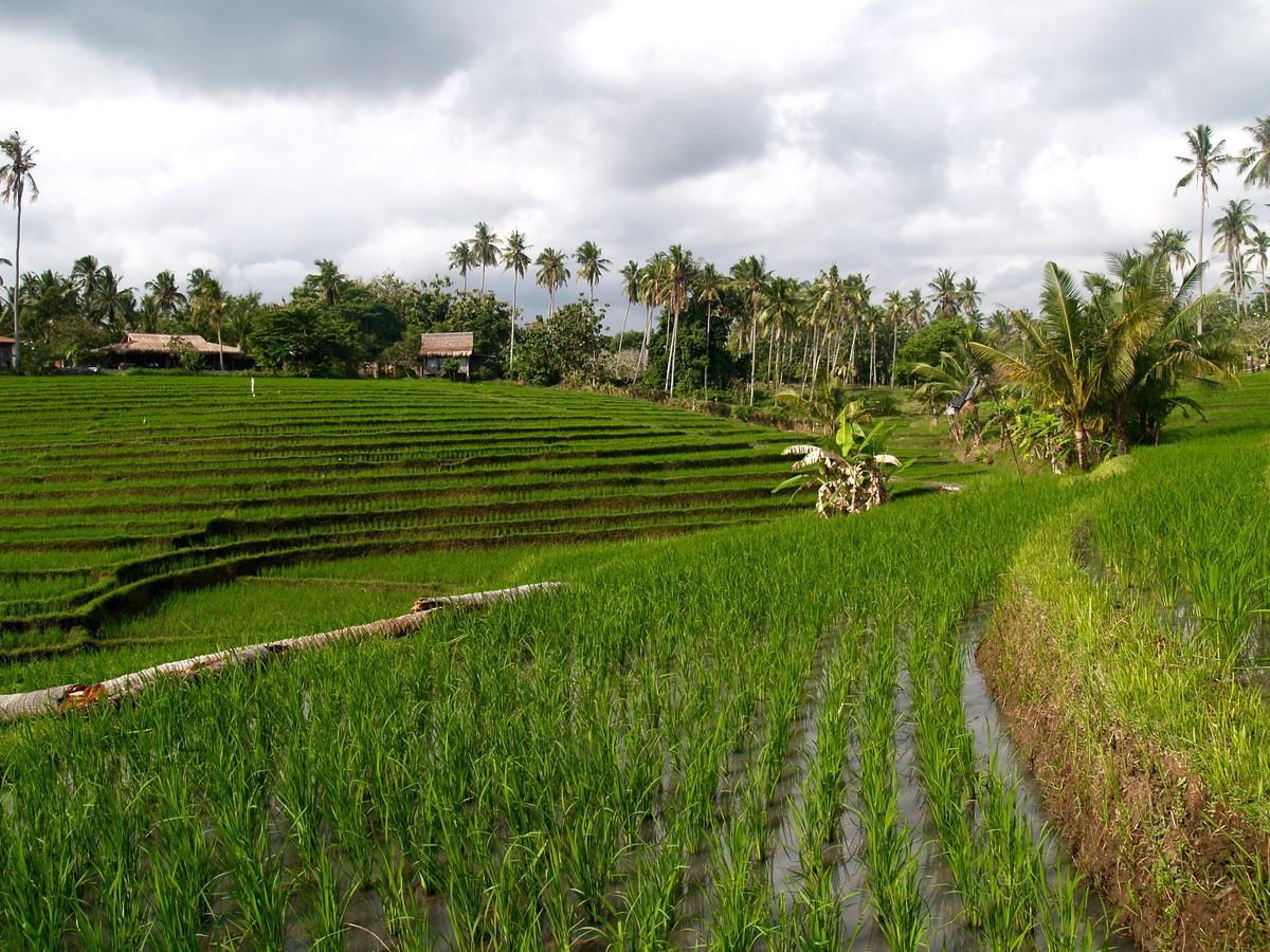 Bali Beach Eco Villas Pondok Matekap Selemadeg  Ngoại thất bức ảnh