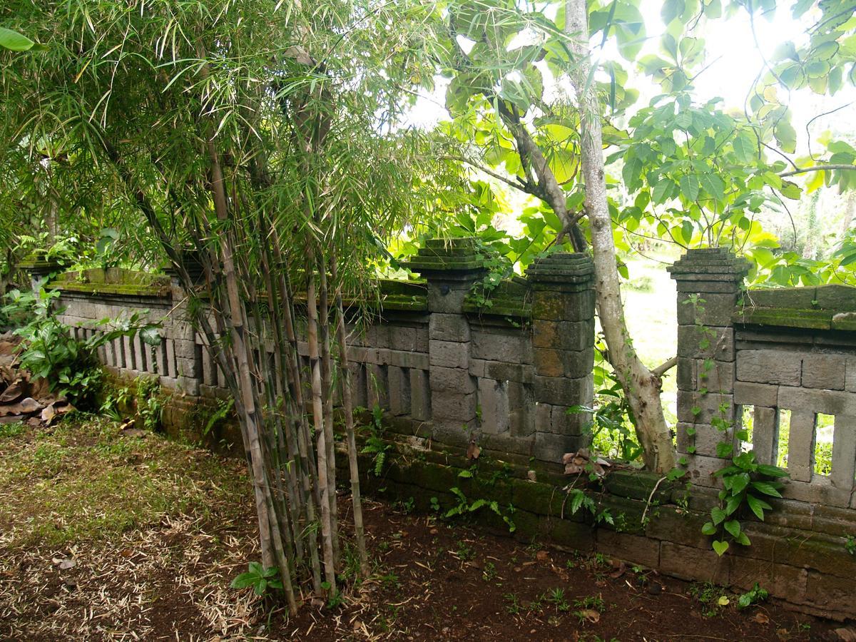 Bali Beach Eco Villas Pondok Matekap Selemadeg  Ngoại thất bức ảnh