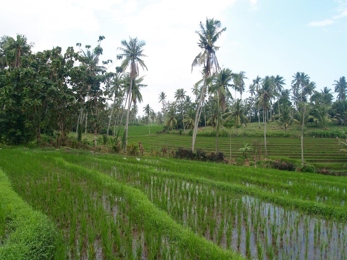 Bali Beach Eco Villas Pondok Matekap Selemadeg  Ngoại thất bức ảnh