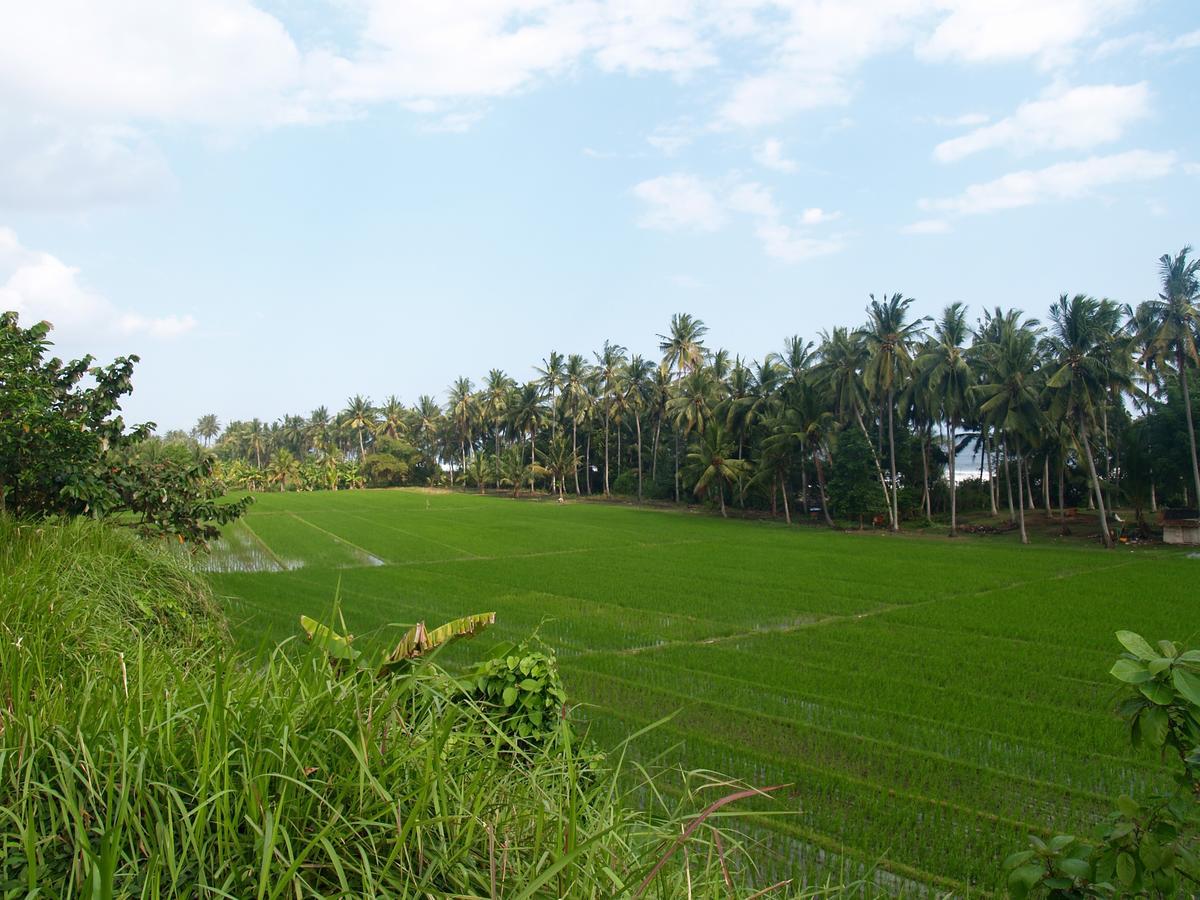 Bali Beach Eco Villas Pondok Matekap Selemadeg  Ngoại thất bức ảnh