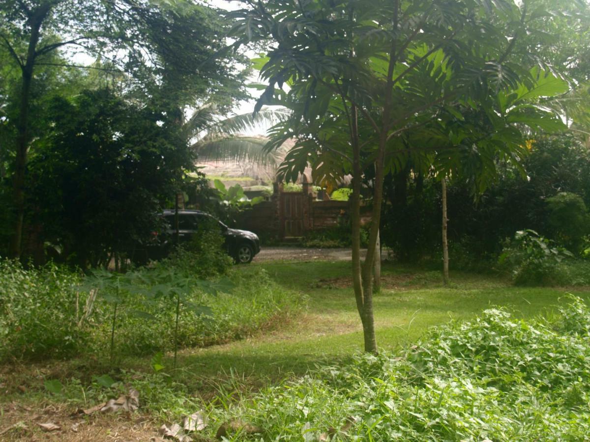 Bali Beach Eco Villas Pondok Matekap Selemadeg  Ngoại thất bức ảnh
