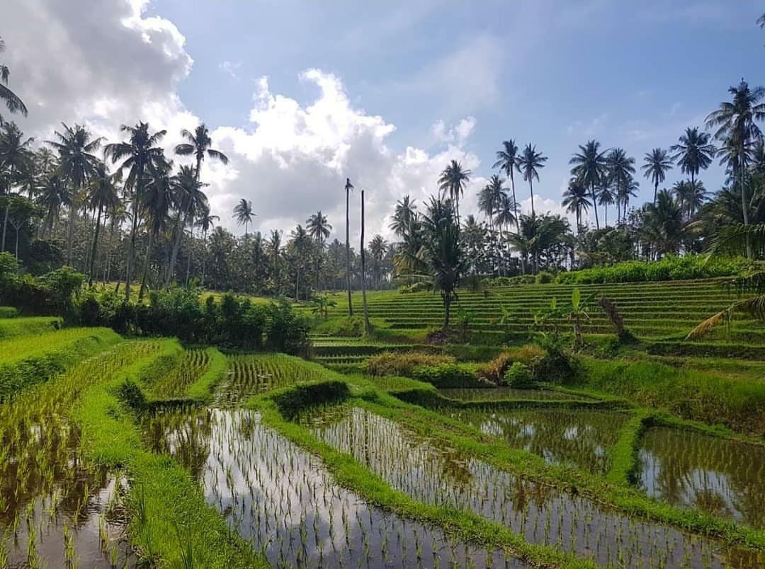 Bali Beach Eco Villas Pondok Matekap Selemadeg  Ngoại thất bức ảnh